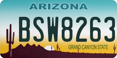 AZ license plate BSW8263