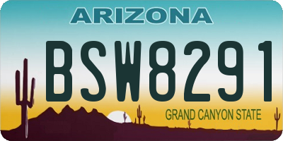 AZ license plate BSW8291