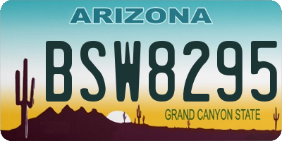 AZ license plate BSW8295