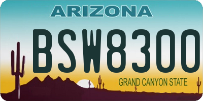 AZ license plate BSW8300