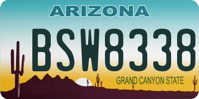 AZ license plate BSW8338