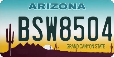 AZ license plate BSW8504