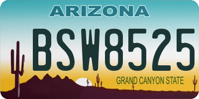 AZ license plate BSW8525