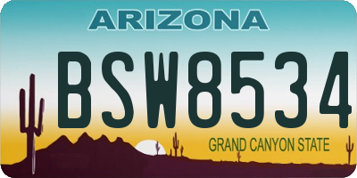 AZ license plate BSW8534