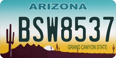 AZ license plate BSW8537