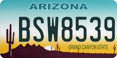 AZ license plate BSW8539