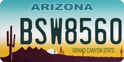 AZ license plate BSW8560