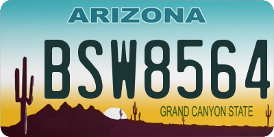 AZ license plate BSW8564