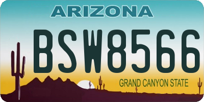 AZ license plate BSW8566