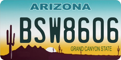 AZ license plate BSW8606