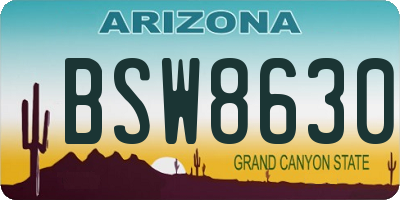 AZ license plate BSW8630