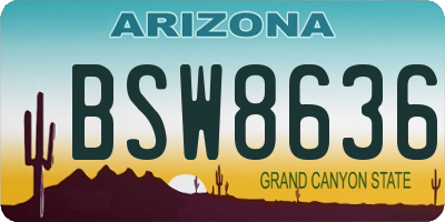 AZ license plate BSW8636