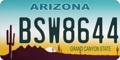 AZ license plate BSW8644