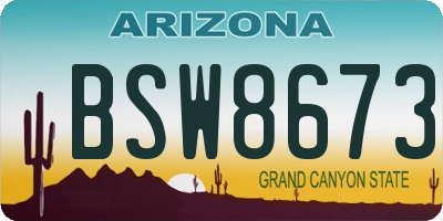 AZ license plate BSW8673