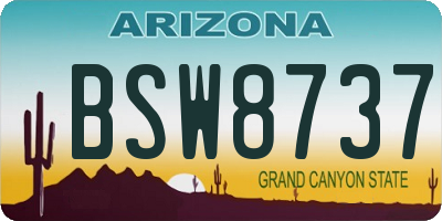AZ license plate BSW8737