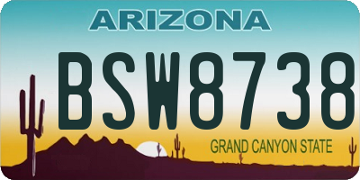 AZ license plate BSW8738