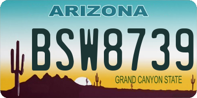 AZ license plate BSW8739