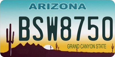 AZ license plate BSW8750