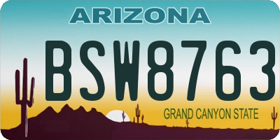 AZ license plate BSW8763