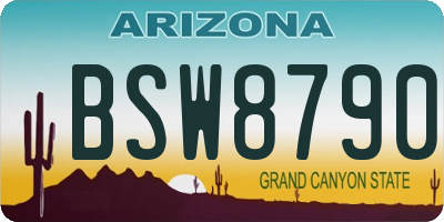 AZ license plate BSW8790