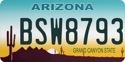 AZ license plate BSW8793