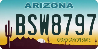 AZ license plate BSW8797
