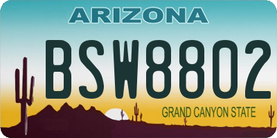 AZ license plate BSW8802