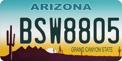 AZ license plate BSW8805