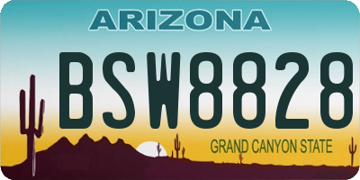 AZ license plate BSW8828