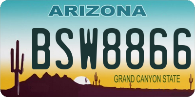 AZ license plate BSW8866