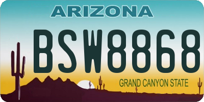 AZ license plate BSW8868