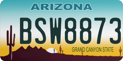 AZ license plate BSW8873