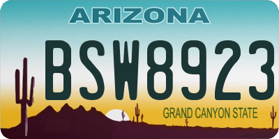 AZ license plate BSW8923