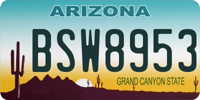 AZ license plate BSW8953