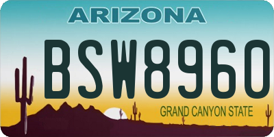 AZ license plate BSW8960