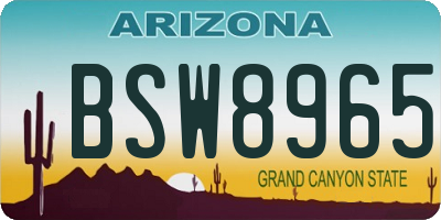 AZ license plate BSW8965