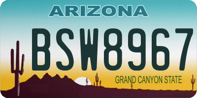 AZ license plate BSW8967