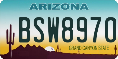 AZ license plate BSW8970