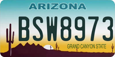 AZ license plate BSW8973