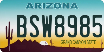 AZ license plate BSW8985