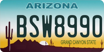 AZ license plate BSW8990