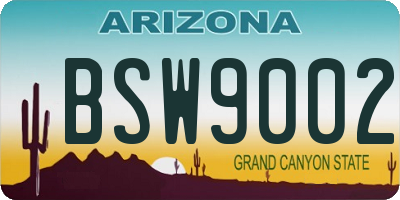 AZ license plate BSW9002