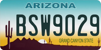 AZ license plate BSW9029