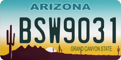 AZ license plate BSW9031