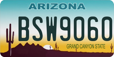 AZ license plate BSW9060