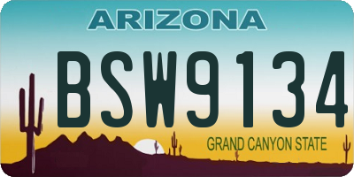 AZ license plate BSW9134