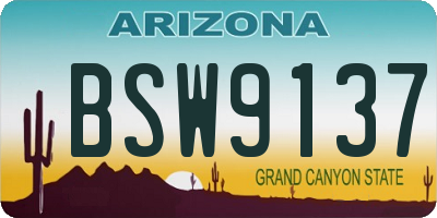 AZ license plate BSW9137