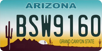 AZ license plate BSW9160