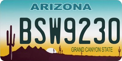 AZ license plate BSW9230