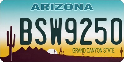 AZ license plate BSW9250